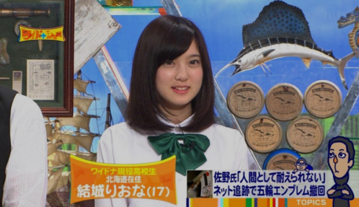 ワイドナショーに出演していた娘の作品