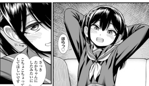 セキレイちゃんと僕