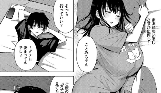 ちょろ・めす・でいず