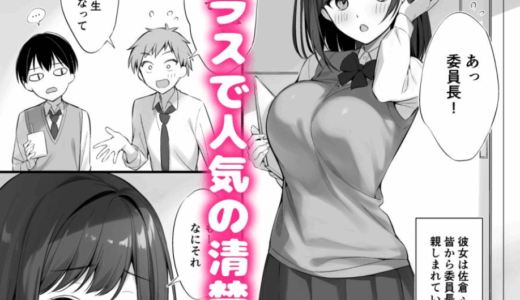 クラスの清楚な委員長と●●友になった話